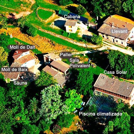 La Cabana Del Moli De La Plana Riudaura Zewnętrze zdjęcie