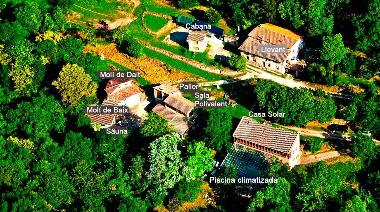 La Cabana Del Moli De La Plana Riudaura Zewnętrze zdjęcie