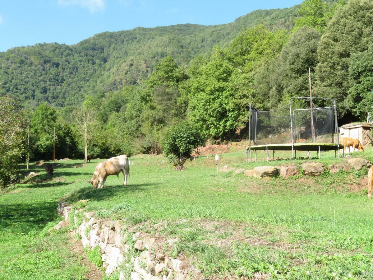 La Cabana Del Moli De La Plana Riudaura Zewnętrze zdjęcie
